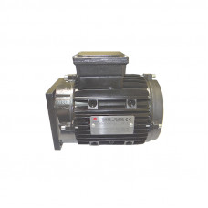 Мотор, BRIGHT, J101-1131000